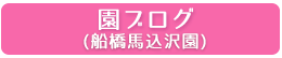 船橋馬込沢園ブログ
